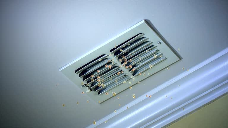 Best Ductwork Cleaning Services  in Elmwood Place, OH